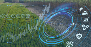 Due diligence: o que é e como aplicar no contexto ambiental?