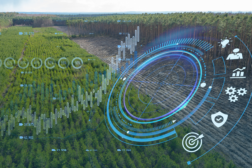 Due diligence: o que é e como aplicar no contexto ambiental?