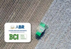 Certificação ABR: impulsione a produção de algodão sustentável